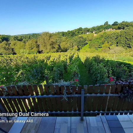 Kuca Za Odmor Vinica Breg Villa Varaždin Dış mekan fotoğraf