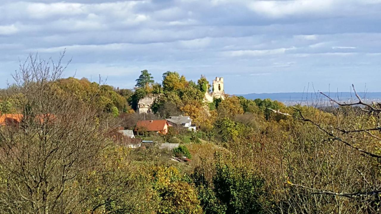 Kuca Za Odmor Vinica Breg Villa Varaždin Dış mekan fotoğraf